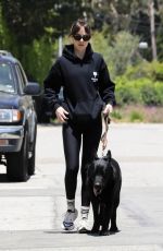 DAKOTA JOHNSON Out with Her Dog in Malibu 06/21/2024