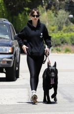 DAKOTA JOHNSON Out with Her Dog in Malibu 06/21/2024