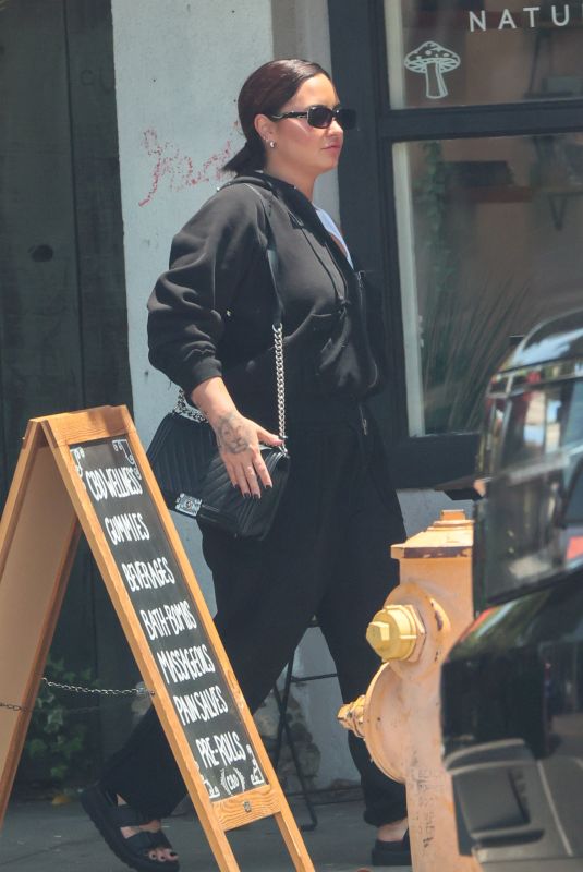 DEMI LOVATO Leaves a Coffee Date with Friends in Studio City 06/18/2024