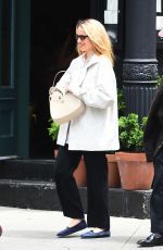 DIANNA AGRON and Harold Ancart Out with a Friend in New York 06/06/2024