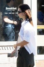 EMILY RATAJKOWSKI Out in New York 06/27/2024