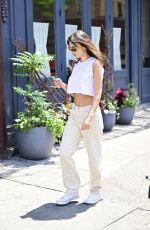 EMILY RATAJKOWSKI Out Running Some Errands in New York 06/26/2024