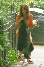 EMILY RATAJKOWSKI Poses for a Bikini Photoshoot in New York 05/30/2024