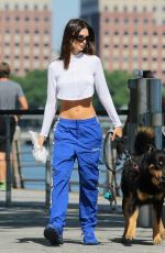EMILY RATAJKOWSKI Walks Her Dog in New York 06/16/2024
