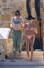 HAILEE STEINFELD in Bikinit Top with a Friend in Mexico 06/21/2024