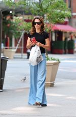 HILARIA BALDWIN Out and About in New York 05/31/2024