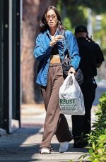 INES DE RAMON Out Shopping for Groceries in Los Angeles 06/25/2024