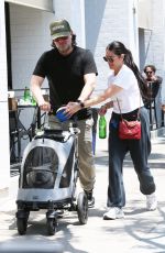 JENNIFER HUYOUNG and JC Chasez Take Their Dog on a Stroll in Los Angeles 06/07/2024