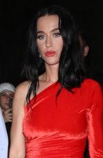 KATY PERRY Arrives at a Hotel in Paris 06/25/2024
