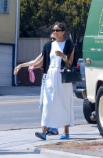 LAURA HARRIER Out with a Friend and Her Dog in Los Angeles 05/31/2024