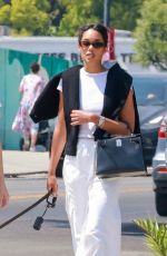LAURA HARRIER Out with a Friend and Her Dog in Los Angeles 05/31/2024