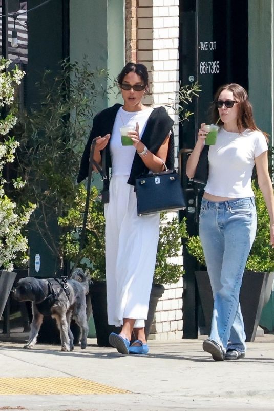 LAURA HARRIER Out with a Friend and Her Dog in Los Angeles 05/31/2024