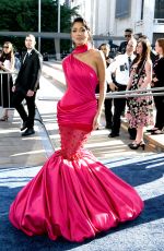 NICOLE SCHERZINGER Arrives at 77th Annual Tony Awards in New York 06/16/2024
