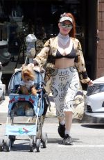 PHOEBE PRICE Takes Her Pooch for a Stroll in Los Angeles 06/28/2024