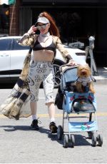 PHOEBE PRICE Takes Her Pooch for a Stroll in Los Angeles 06/28/2024