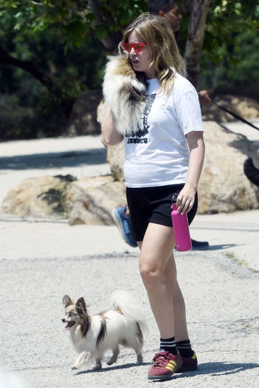 Pregnant GEORGIA MAY JAGGER Out with Her Dogs in Hollywood Hills 06/19/2024