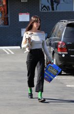 SCOUT WILLIS Out with Her Dog in Los Angeles 06/10/2024