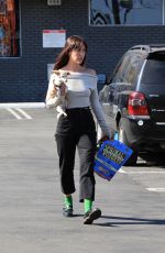SCOUT WILLIS Out with Her Dog in Los Angeles 06/10/2024