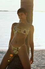TAYLOR HILL for Lavarice Sun Kissed, June 2024