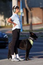 TAYLOR HILL Out with Her German Shepherd in West Hollywood 05/29/2024