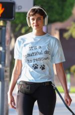 TAYLOR HILL Out with Her German Shepherd in West Hollywood 05/29/2024
