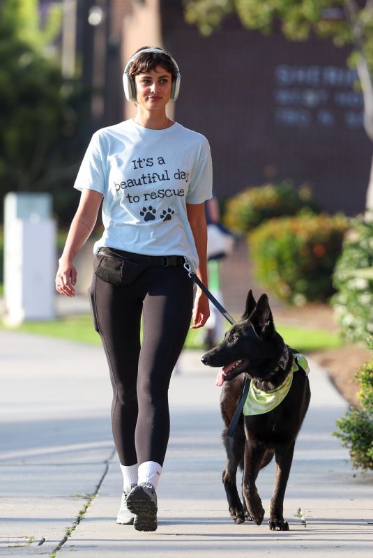 TAYLOR HILL Out with Her German Shepherd in West Hollywood 05/29/2024