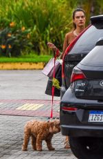 ALESSANDRA AMBROSIO in Denim Shorts Out with Her Dog Near Her Home in Florianppolis 07/23/2024