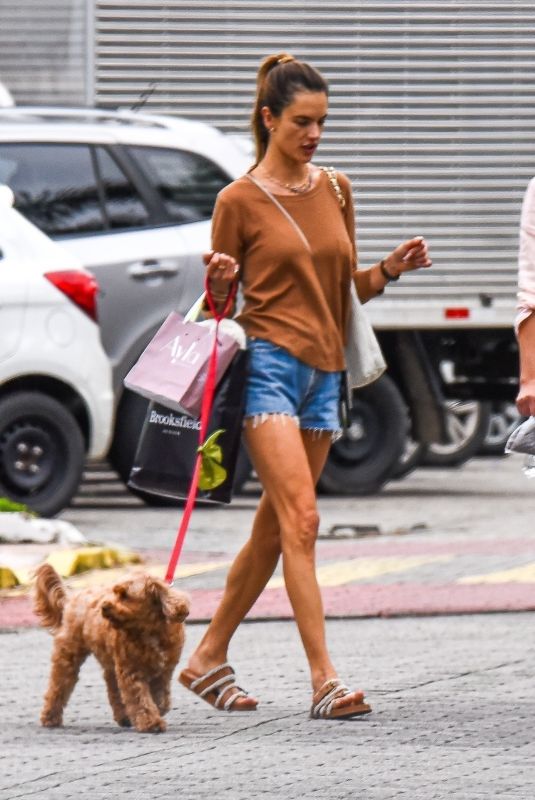 ALESSANDRA AMBROSIO in Denim Shorts Out with Her Dog Near Her Home in Florianppolis 07/23/2024