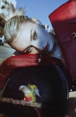 CAMERON BRINK for Flaunt Magazine, July 2024
