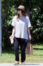 DREW BARRYMORE Out for Morning Walk with a Friend in The Hamptons 07/02/2024