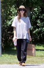 DREW BARRYMORE Out for Morning Walk with a Friend in The Hamptons 07/02/2024