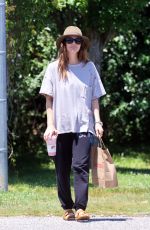 DREW BARRYMORE Out for Morning Walk with a Friend in The Hamptons 07/02/2024