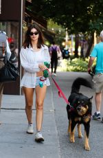 EMILY RATAJKOWSKI Out in a Shirt and Tiny Shorts with Her Dog in West Village in New York 07/16/2024