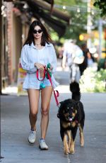 EMILY RATAJKOWSKI Out in a Shirt and Tiny Shorts with Her Dog in West Village in New York 07/16/2024