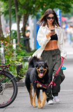 EMILY RATAJKOWSKI Out Walks Her Dog in New York 07/25/2024