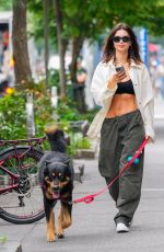 EMILY RATAJKOWSKI Out Walks Her Dog in New York 07/25/2024