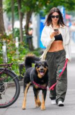 EMILY RATAJKOWSKI Out Walks Her Dog in New York 07/25/2024