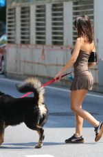 EMILY RATAJKOWSKI Out with Her Dog in New York 07/14/2024