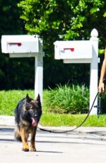 GISELE BUNDCHEN Out Walking Her Dogs in Miami 07/13/2024