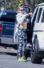 JESSICA HART Strips Off Ahead of a Workout Session in Los Angeles 07/02/2024