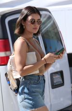 LUCY HALE Out at Farmers Market with a Friend in Studio City 07/28/2024