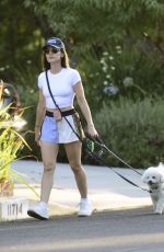 LUCY HALE Out Walking Her Dogs in Studio City 07/15/2024