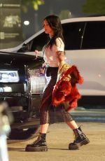 MEGAN FOX Leaves Blink-182 Concert in Los Angeles 07/07/2024