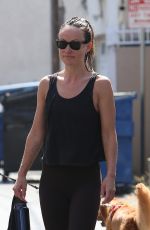 OLIVIA WILDE Leaves a Gym in Studio City 07/09/2024