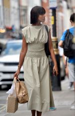 SABRINA DHOWRE ELBA Meets up with a Director Friend in London 06/29/2024