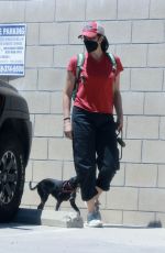 SARAH SILVERMAN and Rory Albanese Out with Their Dog at Vet in Studio City 07/20/2024
