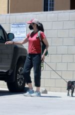 SARAH SILVERMAN and Rory Albanese Out with Their Dog at Vet in Studio City 07/20/2024