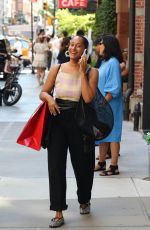 TRACEE ELLIS ROSS Out Shopping in Manhattan