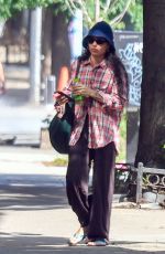 /Z/OE KRAVITZ Out and About in New York 