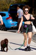 ABBIE CHATFIELD Out with Her Dog at Tamarama Beach in Sydney 08/24/2024